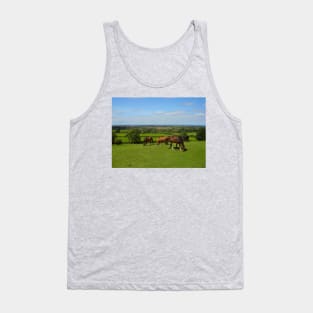 Horses grazing in the Cotswolds Tank Top